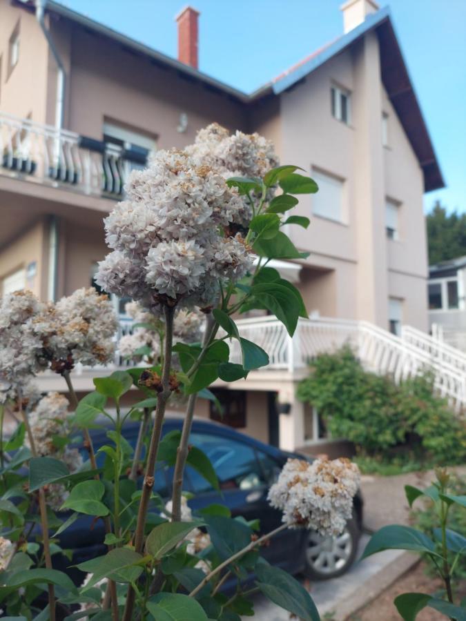 M Apartments 索科矿泉村 外观 照片